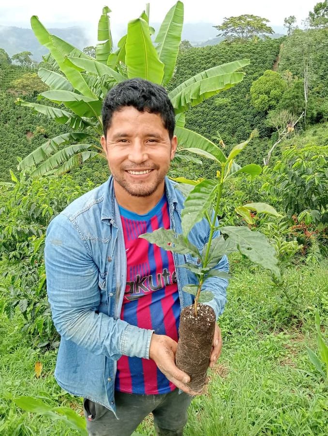 Edinson Argote holding a young coffee seedling among the coffee hills of Finca Quebraditas — Oporapa, Huila, Colombia